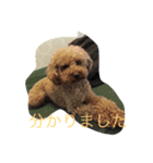 j 12345678（個別スタンプ：5）