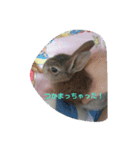 うちのもーちゃん（個別スタンプ：5）