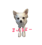 モカオモチ（個別スタンプ：6）