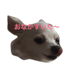 モカオモチ（個別スタンプ：7）