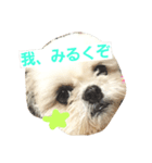 ぼくみるく（個別スタンプ：3）