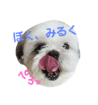 ぼくみるく（個別スタンプ：4）