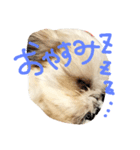 ぼくみるく（個別スタンプ：6）