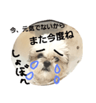 ぼくみるく（個別スタンプ：7）
