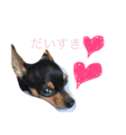 にこねろさら♡（個別スタンプ：1）