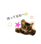 にこねろさら♡（個別スタンプ：7）