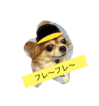 モモちゃんスマイル（個別スタンプ：3）