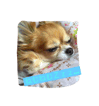 モモちゃんスマイル（個別スタンプ：8）