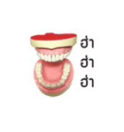 FUNFAA（個別スタンプ：16）