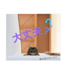毎日チュぺちゃん（個別スタンプ：4）