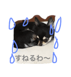 わがやのにんきもの（個別スタンプ：2）