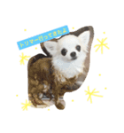 わがやのにんきもの（個別スタンプ：3）