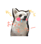 わがやのにんきもの（個別スタンプ：5）