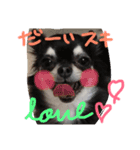 わがやのにんきもの（個別スタンプ：8）