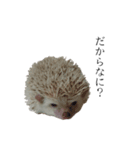 ハリネズミのはりまる（個別スタンプ：4）