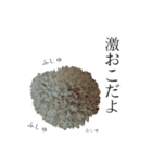 ハリネズミのはりまる（個別スタンプ：5）