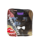 Black cat.cute（個別スタンプ：3）