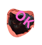 Black cat.cute（個別スタンプ：4）
