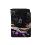 Black cat.cute（個別スタンプ：9）