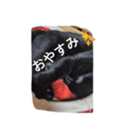 Black cat.cute（個別スタンプ：11）