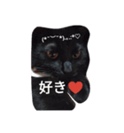 Black cat.cute（個別スタンプ：14）
