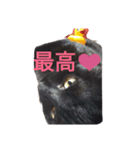 Black cat.cute（個別スタンプ：15）
