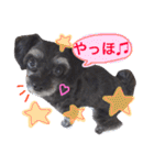トトやんU^ェ^U②（個別スタンプ：1）