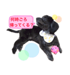 トトやんU^ェ^U②（個別スタンプ：5）