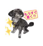 トトやんU^ェ^U②（個別スタンプ：6）