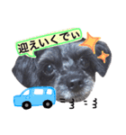 トトやんU^ェ^U②（個別スタンプ：7）