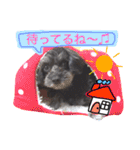 トトやんU^ェ^U②（個別スタンプ：8）