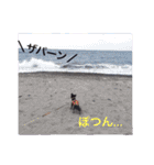 トトやんU^ェ^U②（個別スタンプ：27）