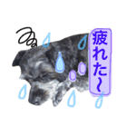 トトやんU^ェ^U②（個別スタンプ：28）