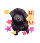 トトやんU^ェ^U②（個別スタンプ：36）