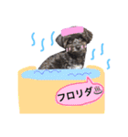 トトやんU^ェ^U②（個別スタンプ：38）