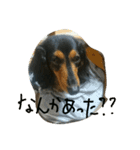 べるスタンプ（個別スタンプ：6）