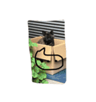 そらと仲間（個別スタンプ：2）