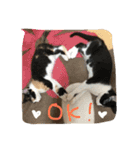 そらと仲間（個別スタンプ：6）