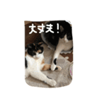 そらと仲間（個別スタンプ：15）