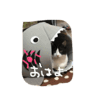 そらと仲間（個別スタンプ：17）