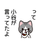 小谷ってこたに？おたに？こや？おや？（個別スタンプ：40）