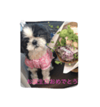 キャンディの日常（個別スタンプ：8）