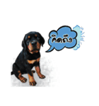 Rottie ＆ Pa-Koi（個別スタンプ：10）