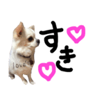 ココア♡ルル（個別スタンプ：18）