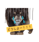 ココア♡ルル（個別スタンプ：33）