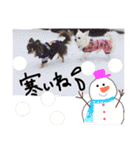 ココア♡ルル（個別スタンプ：36）