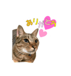 銀次郎とみつお2（個別スタンプ：2）