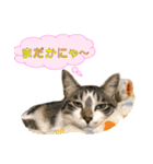 銀次郎とみつお2（個別スタンプ：11）