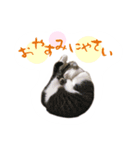 銀次郎とみつお2（個別スタンプ：13）