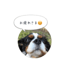 CavaGirls  2（個別スタンプ：4）